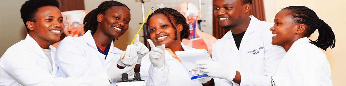 Medical School Programmes